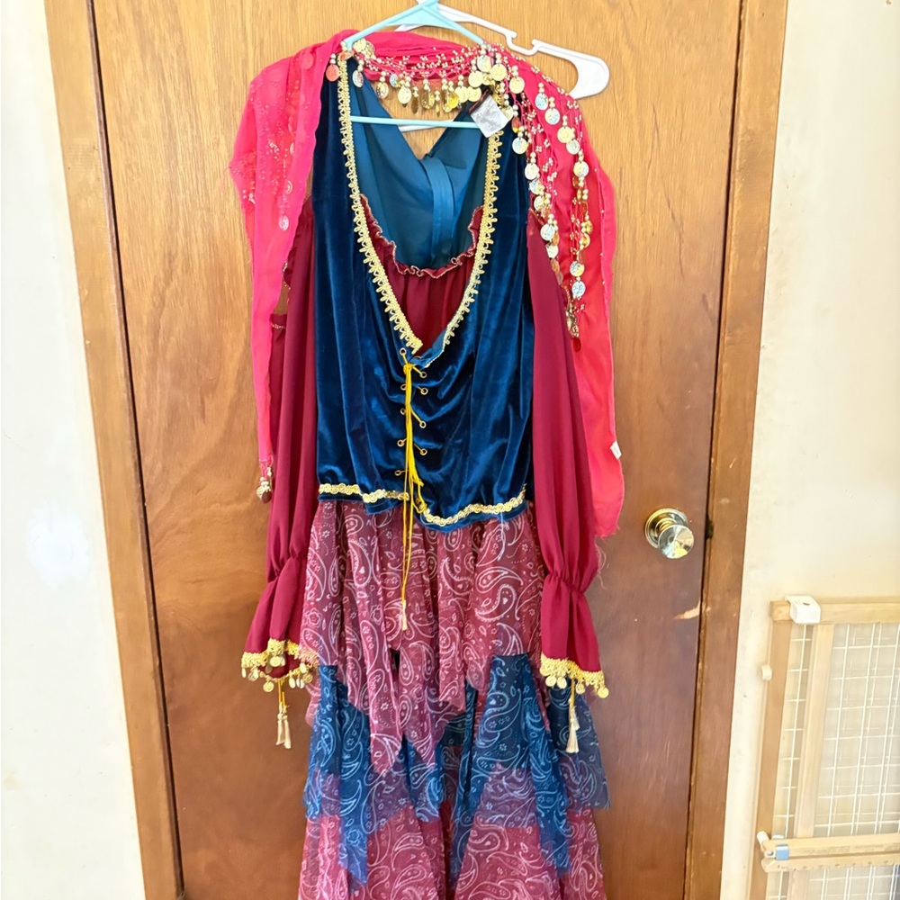 Dreamgirl Gold and Red Embellished Fabric Gypsy Halloween costume size 3x